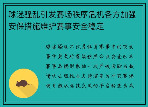 球迷骚乱引发赛场秩序危机各方加强安保措施维护赛事安全稳定